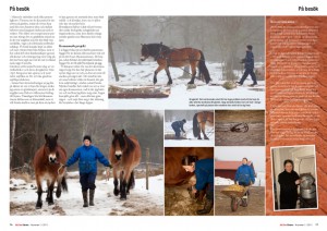 zandelin.com - Fredrick Zandelin